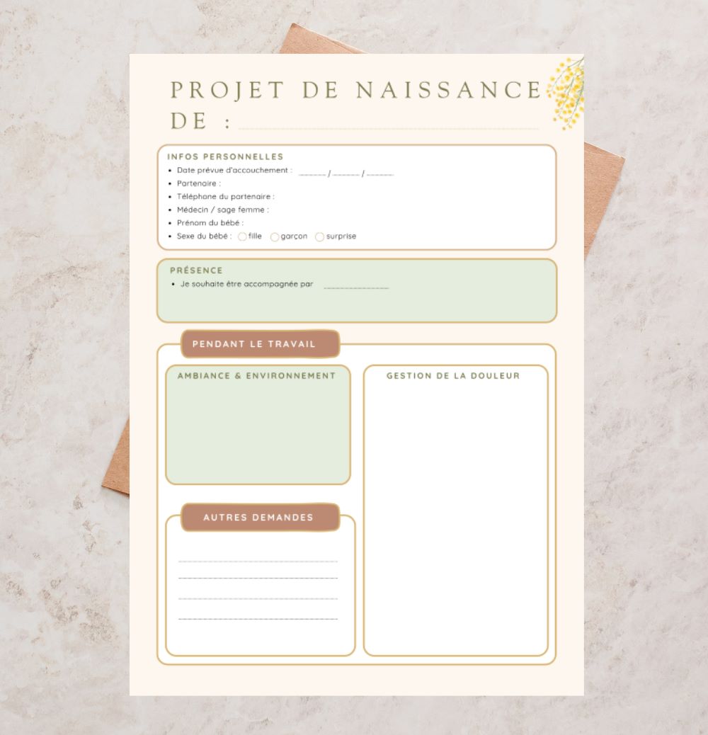 Exemple de projet de naissance à télécharger